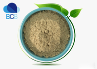 99% Pea Protein powder Dietary Supplements Ingredients Herb Extract